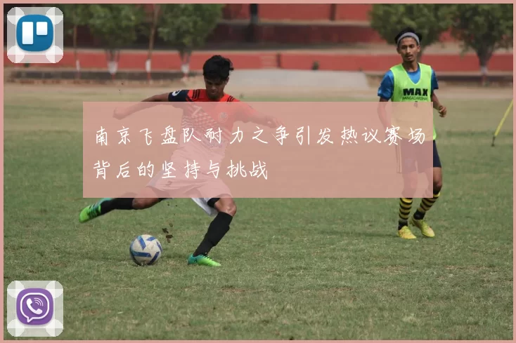 南京飞盘队耐力之争引发热议赛场背后的坚持与挑战