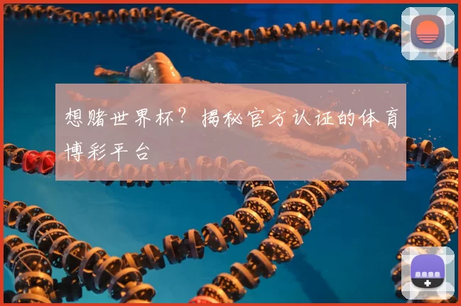 想赌世界杯？揭秘官方认证的体育博彩平台
