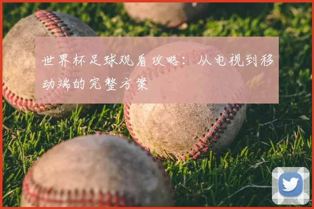 世界杯足球观看攻略：从电视到移动端的完整方案