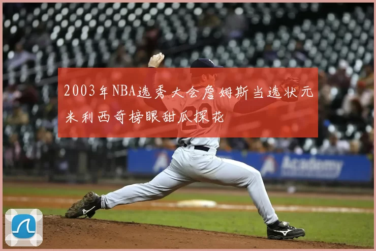 2003年NBA选秀大会詹姆斯当选状元米利西奇榜眼甜瓜探花