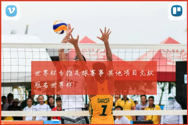 世界杯专指足球赛事 其他项目无权冠名世界杯
