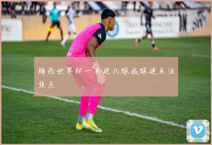 梅西世界杯一共进几球成球迷关注焦点
