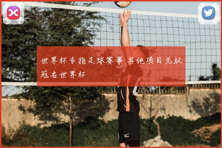 世界杯专指足球赛事 其他项目无权冠名世界杯