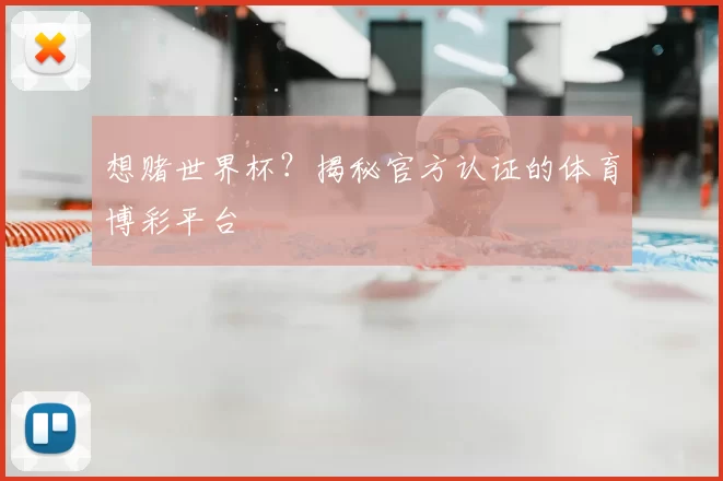 想赌世界杯？揭秘官方认证的体育博彩平台