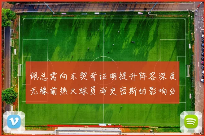 佩总需向东契奇证明提升阵容深度无缘前热火球员海史密斯的影响分析