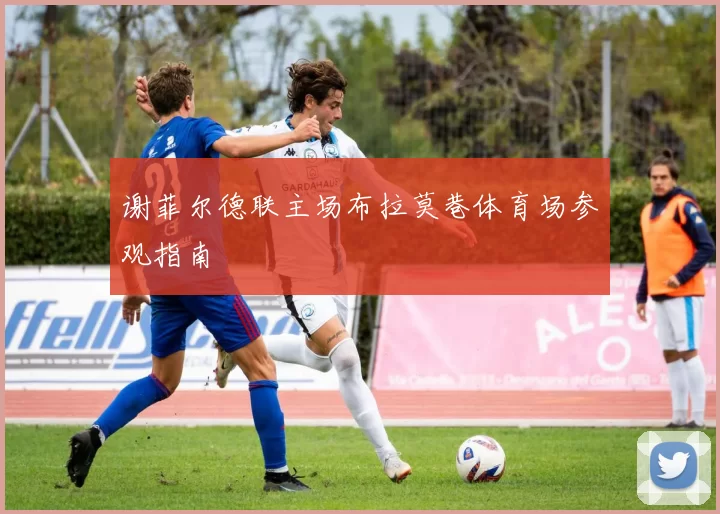 谢菲尔德联主场布拉莫巷体育场参观指南