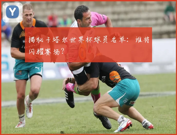 揭秘卡塔尔世界杯球员名单：谁将闪耀赛场？