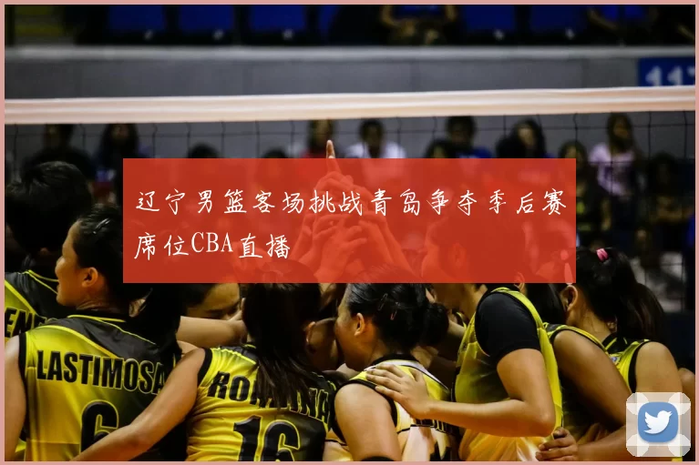 辽宁男篮客场挑战青岛争夺季后赛席位CBA直播