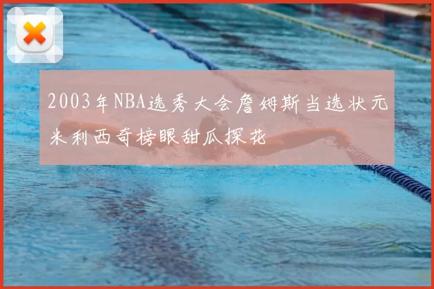 2003年NBA选秀大会詹姆斯当选状元米利西奇榜眼甜瓜探花