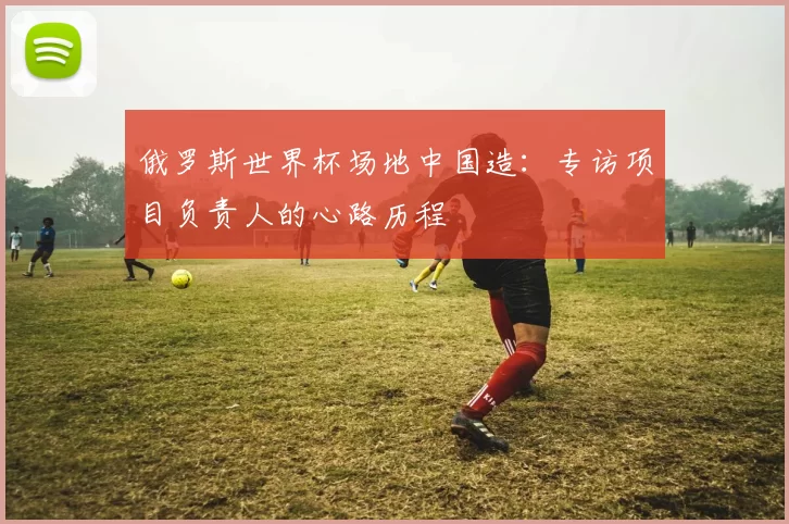 俄罗斯世界杯场地中国造：专访项目负责人的心路历程